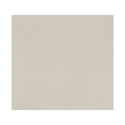 Scalamandre Thara Birch ALMA LUSA A9 00027690 Beige Upholstery POLYESTER POLYESTER