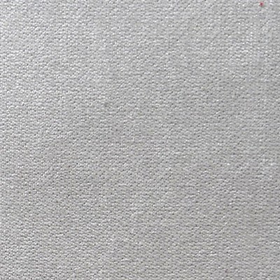 Scalamandre Expert Light Gray ALMA LUSA A9 00027700 Grey Upholstery POLYESTER POLYESTER