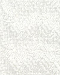 Sally Whitened by  Scalamandre 