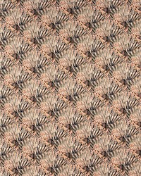 Guilty Coral Feathers by   