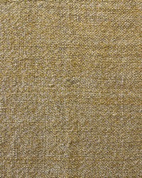 Matter Fr Sunflower by   