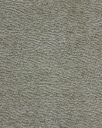 Pulp Astrakan Taupe by   