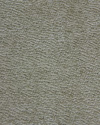 Pulp Astrakan Taupe by  Waverly 