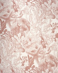 Toile Sealife  Outdoor Fr Coral Gable by  P K Lifestyles 