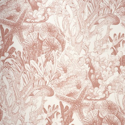 Scalamandre Toile Sealife  Outdoor Fr Coral Gable AUTHENTICITY A9 0002TSEA Red Upholstery ACRYLIC  Blend Fun Print Outdoor Floral Toile  Fabric