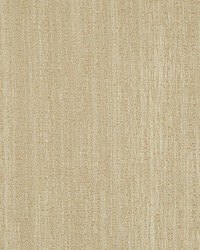 Raw Raw Linen by  Scalamandre 