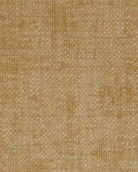 Bumber Fr Dust Cream by  Scalamandre 