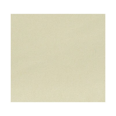 Scalamandre Thara Vanilla ALMA LUSA A9 00037690 Beige Upholstery POLYESTER POLYESTER