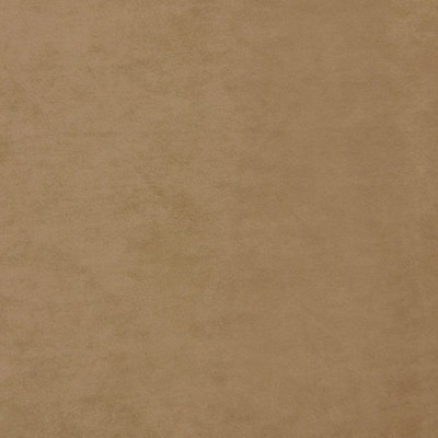 Scalamandre Project Water Repellent Beige RHAPSODY A9 00039300 Brown Upholstery POLYESTER POLYESTER