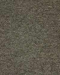 Friset Boucle Taupe by   