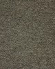 Scalamandre FRISET BOUCLE TAUPE