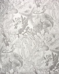 Toile Sealife  Outdoor Fr Light Gray by   