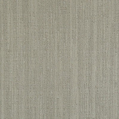 Scalamandre Raw Gray Stone MYSTIC & CHIC A9 00041972 Grey Multipurpose POLYESTER  Blend