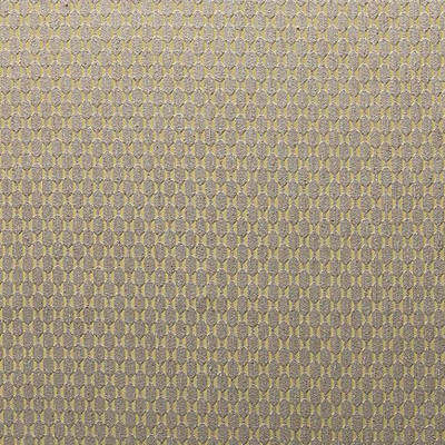 Scalamandre Lumni Golden Linen RHAPSODY A9 00043600 Yellow Upholstery POLYESTER POLYESTER