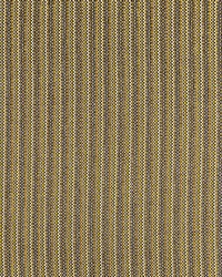 Carvalhal Little Miss Sunshine by   