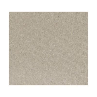 Scalamandre Thara Almondine ALMA LUSA A9 00047690 Beige Upholstery POLYESTER POLYESTER