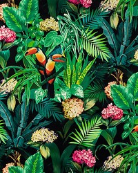 Blooming Night Bloom by   