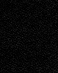 Pulp Astrakan Black by  Waverly 