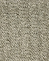 Vellutino Fr Parchment by  Waverly 