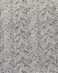 Wild Thing White On Black by  Waverly 