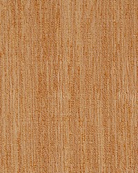 Raw Raw Marsala by  Scalamandre 