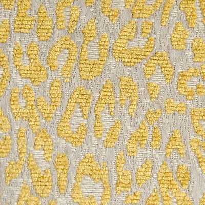 Scalamandre Leopard Misted Yellow AMAZINK A9 0005LEOP Yellow Upholstery COTTON  Blend