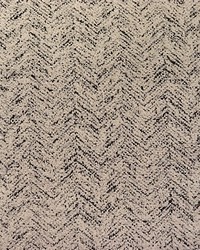 Wild Thing Creamy Shadow by  Waverly 