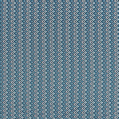 Scalamandre Herdade Cyanotype Blue RHAPSODY A9 00064900 Blue Upholstery POLYPROPYLENE POLYPROPYLENE