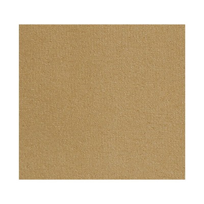Scalamandre Thara Sand ALMA LUSA A9 00077690 Brown Upholstery POLYESTER POLYESTER