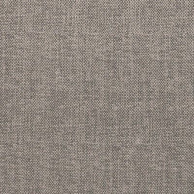 Scalamandre Melody Pearly Silver RHAPSODY A9 0007MELO Grey Multipurpose POLYESTER POLYESTER