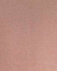 Puka Puka  Outdoor Fr Misted Coral by   