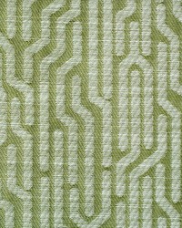 Tweeter Smoke Green by  Scalamandre 