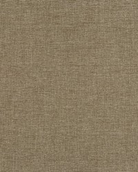 Sal Warm Taupe by   