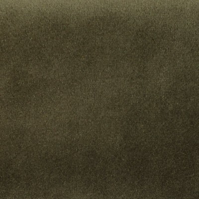 Scalamandre Safety Velvet Taupe Gray CHARACTER A9 0008T019 Grey Upholstery POLYESTER POLYESTER