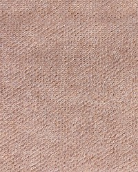 Vellutino Fr Pink Nude by  Waverly 