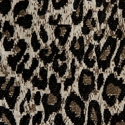 Scalamandre Leopard Sexy Black AMAZINK A9 0009LEOP Black Upholstery COTTON  Blend
