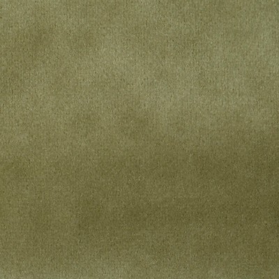 Scalamandre Safety Velvet Plaza Taupe CHARACTER A9 0009T019 Brown Upholstery POLYESTER POLYESTER