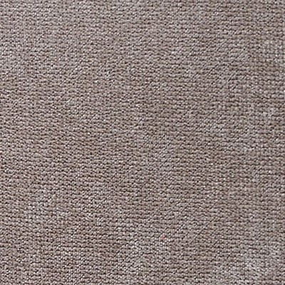 Scalamandre Expert Oxford Tan ALMA LUSA A9 00167700 Beige Upholstery POLYESTER POLYESTER