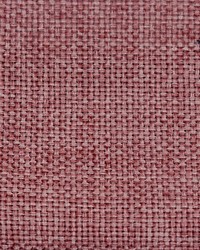 Recycling Coral Reef by   