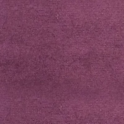 Scalamandre Sucesso Deep Violet SMARTER A9 0022SUCE Purple Upholstery POLYESTER POLYESTER