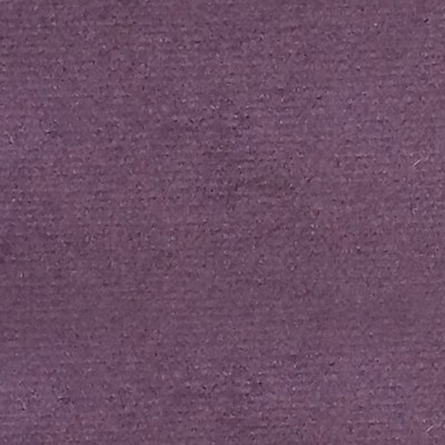 Scalamandre Sucesso Deep Purple SMARTER A9 0023SUCE Purple Upholstery POLYESTER POLYESTER