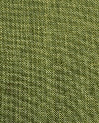 Essential Fr Leaf by  Scalamandre 