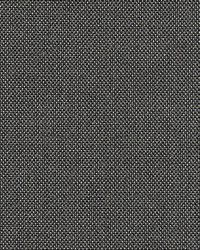 Slow Gray by  Scalamandre 