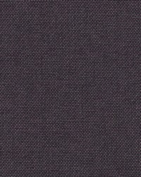 Slow Purple by  Scalamandre 