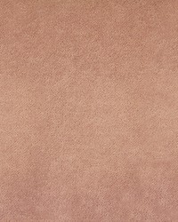 Siege Natural Nude by   