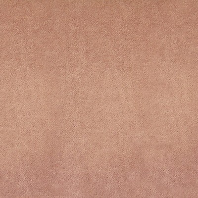 Scalamandre Siege Natural Nude RHAPSODY A9 1601T758 Pink Upholstery COTTON COTTON