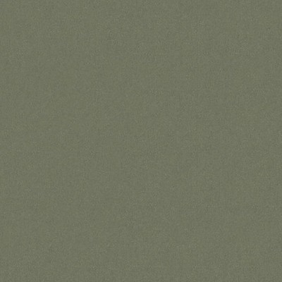 Old World Weavers Sensuede Pebble ESSENTIAL LEATHERS / SUEDES / HIDES AB 00131000 Upholstery POLYESTER  Blend