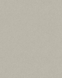 Sensuede Ash by  Old World Weavers 