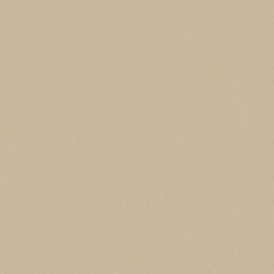 Old World Weavers Sensuede Oatmeal ESSENTIAL LEATHERS / SUEDES / HIDES AB 83011000 Beige Upholstery POLYESTER  Blend