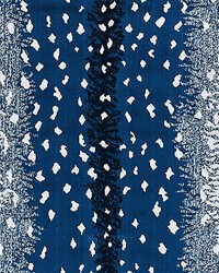 Antelope Midnight by   